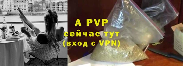 стафф Баксан
