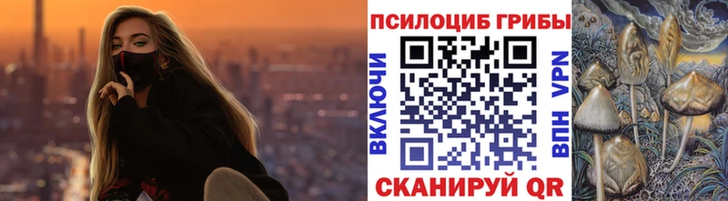 купить   Владимир  гидра рабочий сайт  Галлюциногенные грибы Psilocybe 